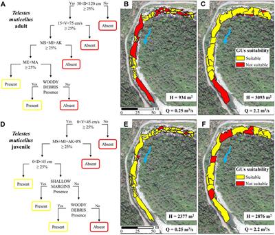 Habitat Preferences of Italian Freshwater Fish: A Systematic Review of Data Availability for Applications of the MesoHABSIM Model